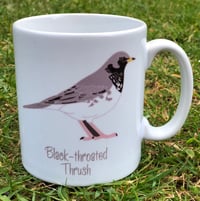 Black-throated Thrush Mug