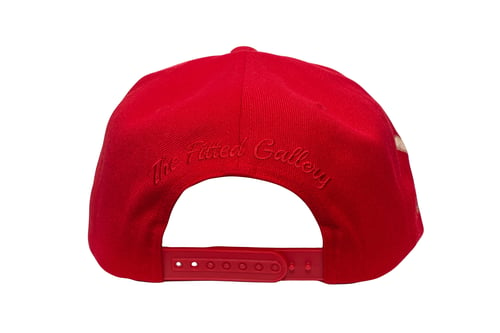 Image of Upside Down PA SnapBack 