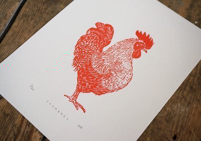 Image of Cockerel - Linocut