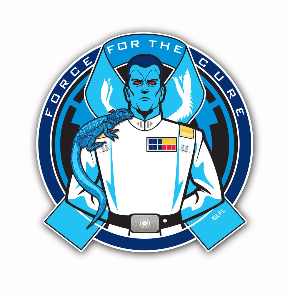 Image of Force For The Cures: Prostate Cancer Awareness Patch/Pin Set
