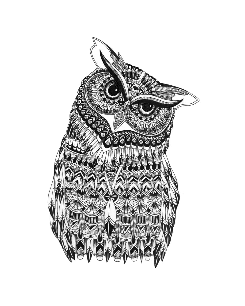 Image of Athena the Owl