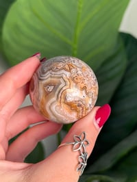 Image 6 of MEXICAN LACE AGATE SPHERE B