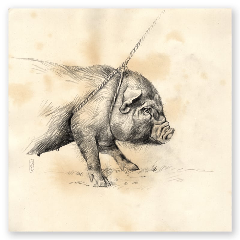 Image of Original Painting - "Petit cochon noir au marché de Laomeng" - 29x29 cm
