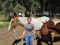 Image 4 of Lifer Antler Badge T-Shirt & Hoodie