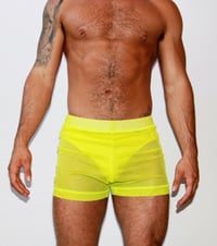 Image 4 of THE SOUR HEAD SHORTS