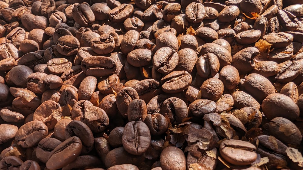 Image of Brazil  Fazenda Vila Boa Anaerobic