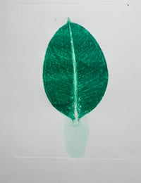 Green Ficus Leaf MonoPrint