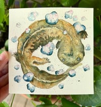 Image 2 of Hellbender