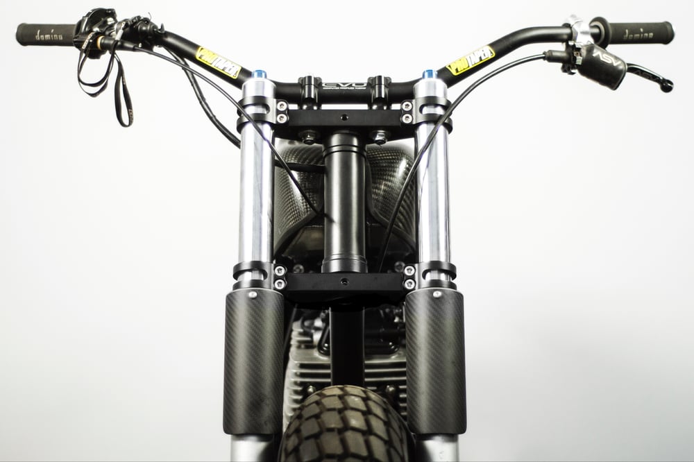 Carbon Fork Guards