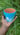 cloudy day flower pot