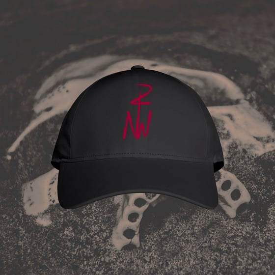 Image of NT2W Hat - Black