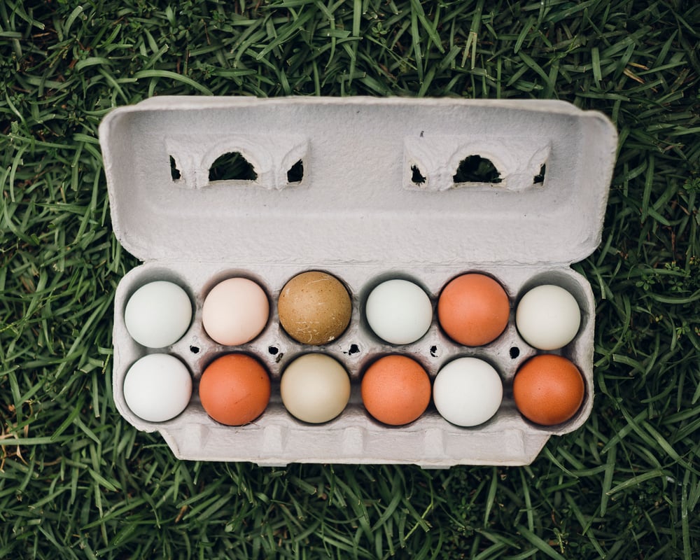 Dozen Eggs Bi- Monthly Delivery Service