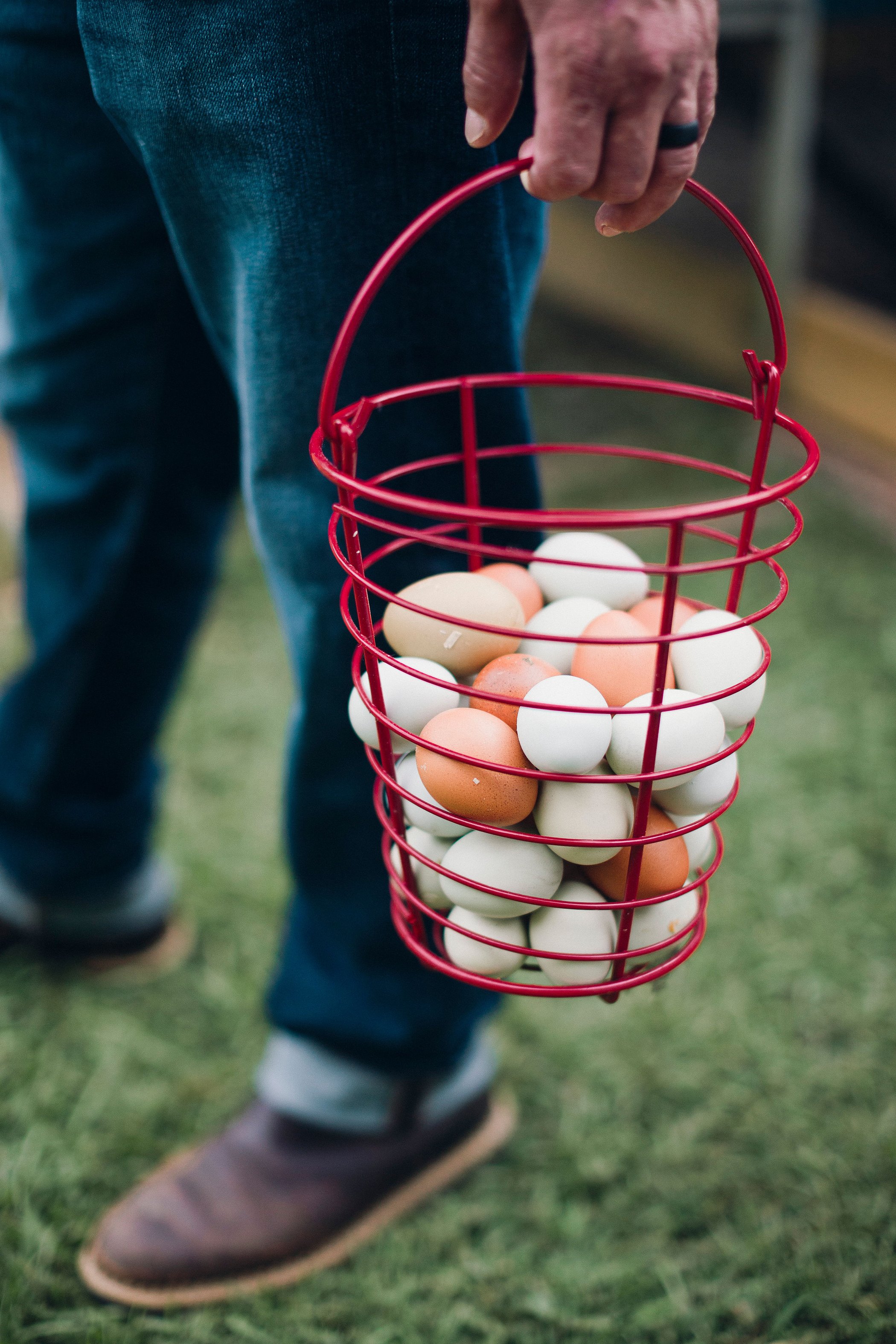 Dozen Egg Weekly Delivery Service Compton Farms