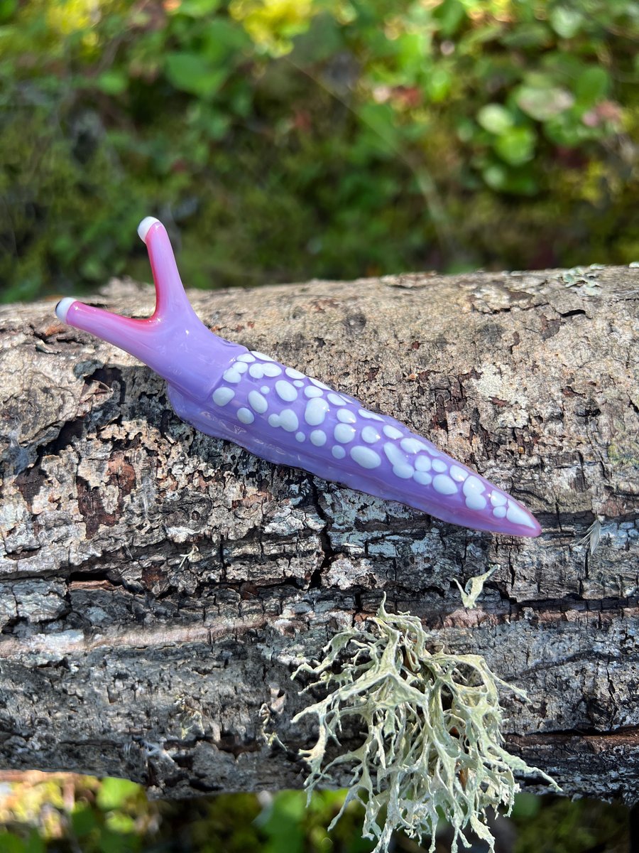 Image of Purple Boro Slug