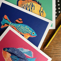 3 Tropical Fish Greeting Cards