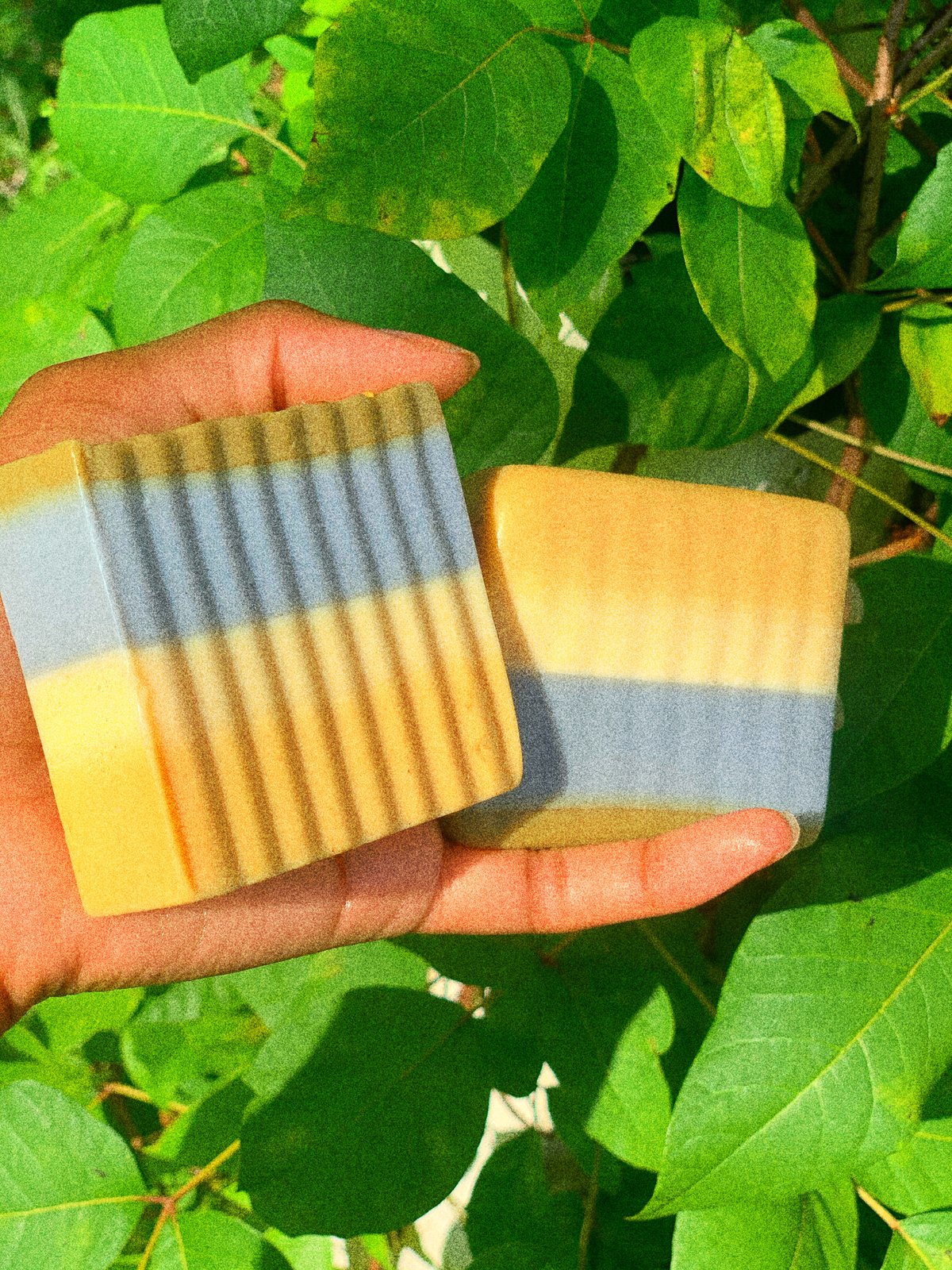Image of Turmeric & Charcoal Bar