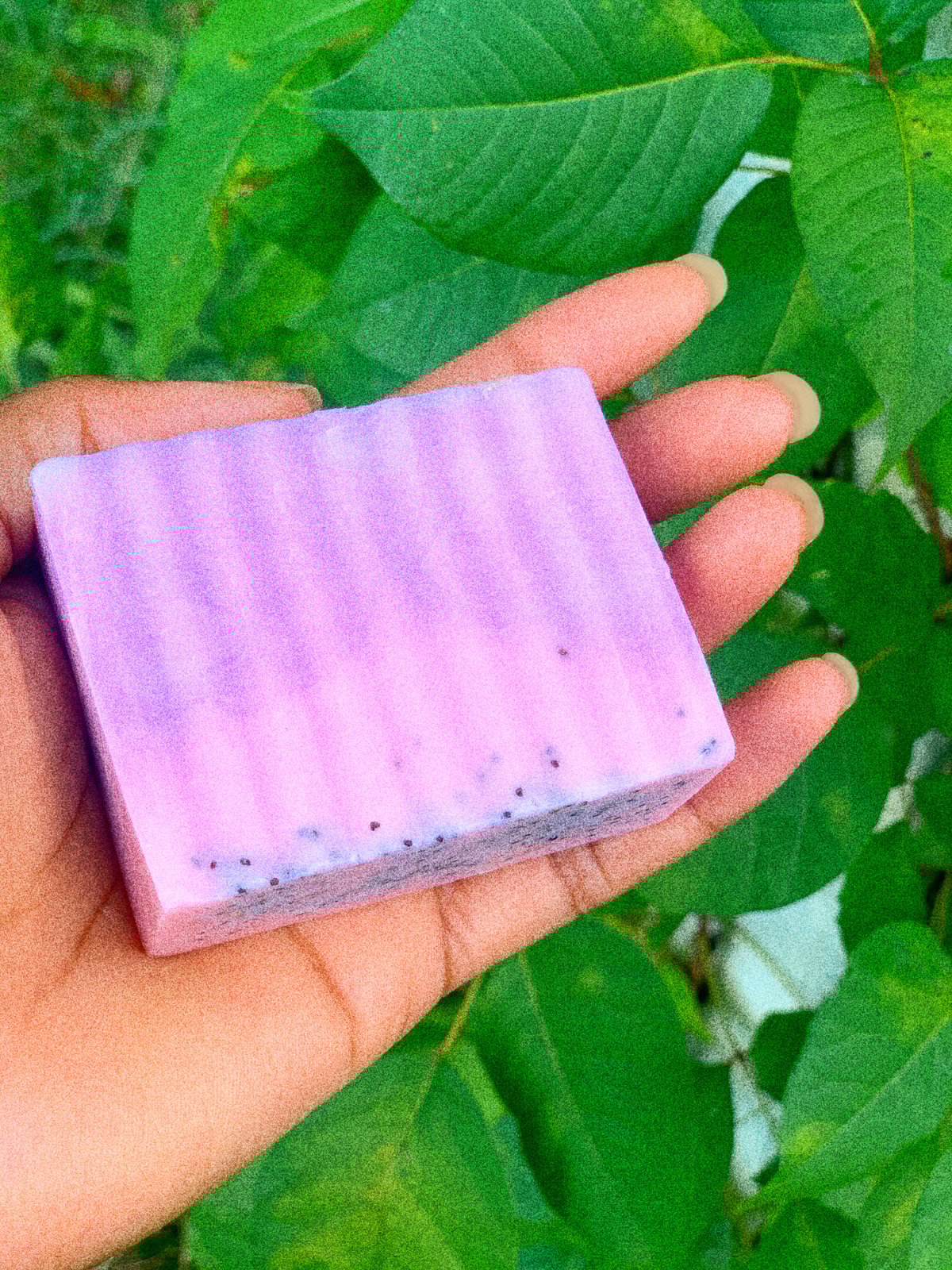 Image of Mini Pretty Kitty Yoni Bar