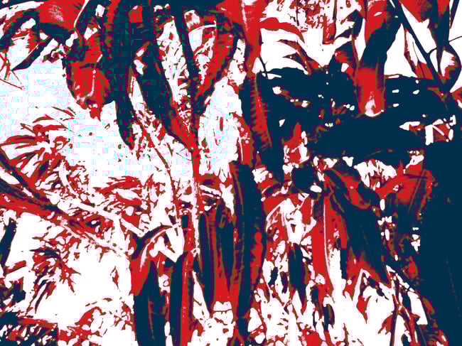 BENJAMMIN & LONE ARK - SONS & DAUGHTERS