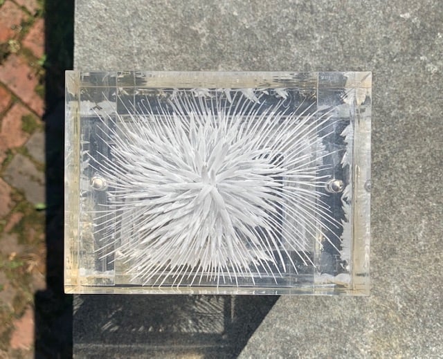 Image of Clear Nettles Lucite Box