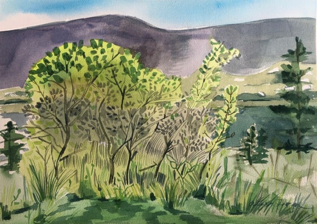 Mt Evans