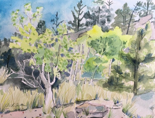 On A Sunny Hill
