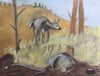 Deer At Rocky Mountain