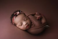 Newborn Session Fee