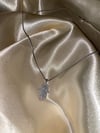 Icy hamsa