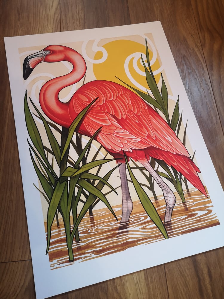 Image of A2 flamingo