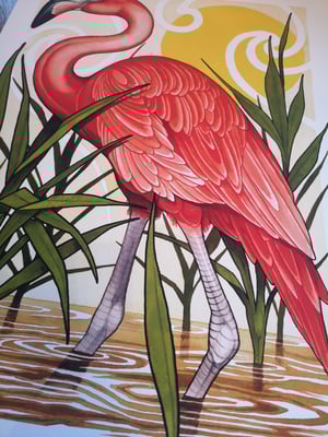 Image of A2 flamingo