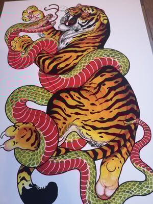 Image of A2 Classic snake and tiger.