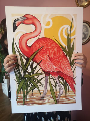 Image of A2 flamingo