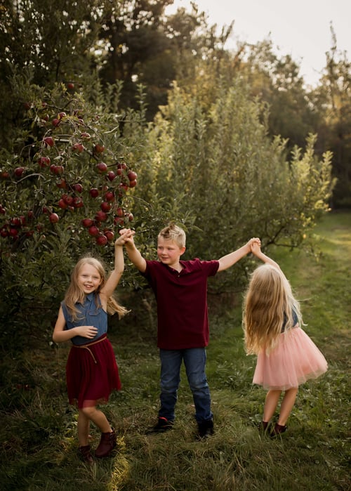 Image of Apple Orchard Mini Sessions September 17, 2023