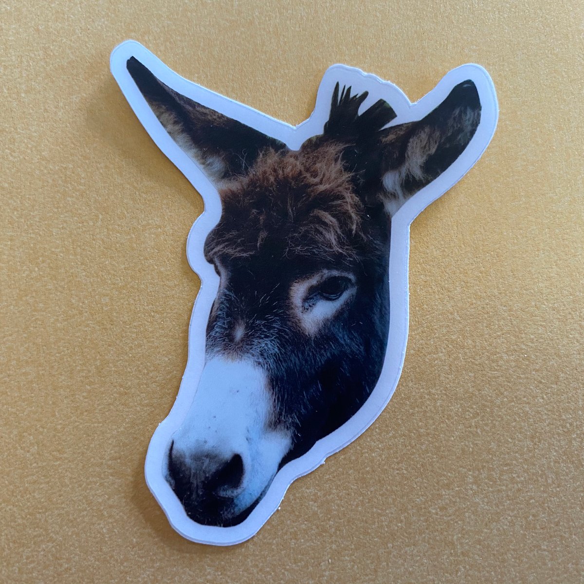 Molly donkey sticker | Morningside Farm Sanctuary