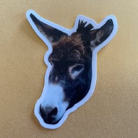 Molly donkey sticker 