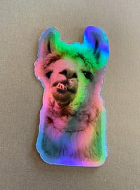 Fox llama holographic sticker 