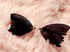 Butterfly Lenses  Image 4