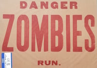 Image of Danger Zombies Run.