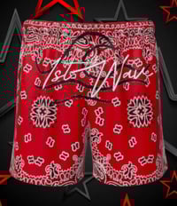 Image 2 of The Bandanna Collection 