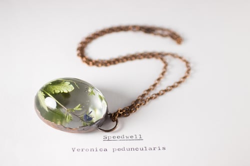 Image of Speedwell (Veronica peduncularis) - Copper Plated Necklace #1