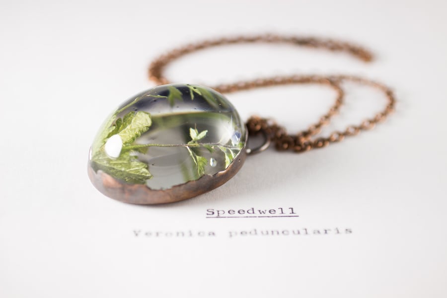 Image of Speedwell (Veronica peduncularis) - Copper Plated Necklace #1