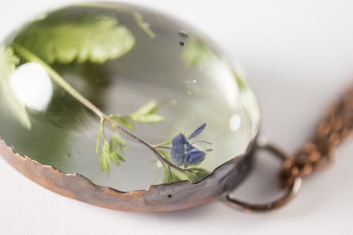 Image of Speedwell (Veronica peduncularis) - Copper Plated Necklace #1