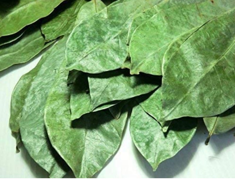 Image of Organic Soursop Graviola Leaves