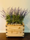 Indoor outdoor cedar garden box 