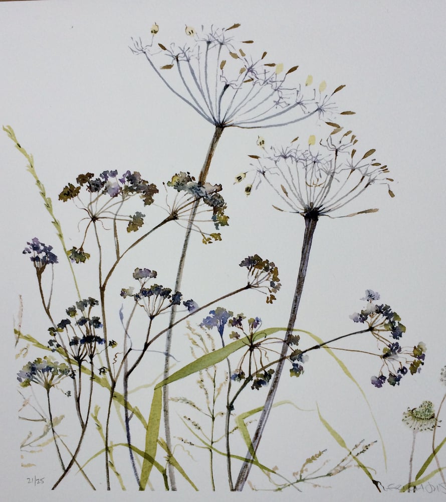 Cow Parsley | ERICA JUST ARTIST