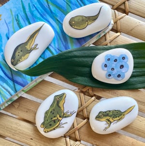 Image of LEARNING STONES