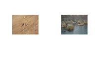 Image of MYOPZINE - Julie Hascoet / Nous, les Etoiles