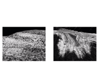 Image of MYOPZINE - Olivier Monge / Water, Please