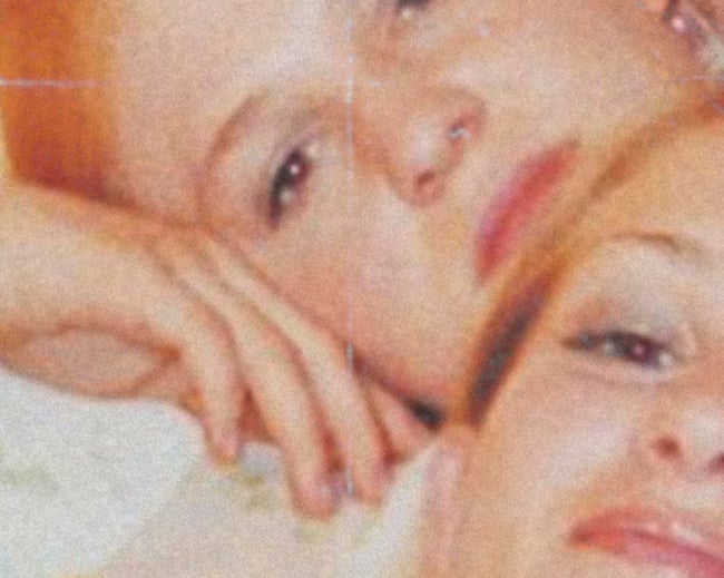 THE VIRGIN SUCIDES #2