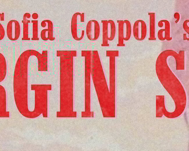 THE VIRGIN SUCIDES #2